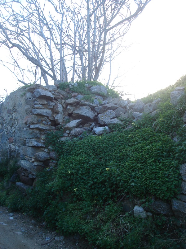 pyrgosga11.jpg vivlosfoto