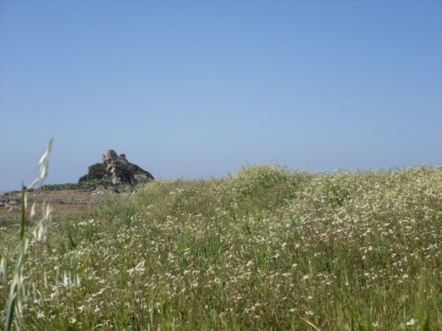 pyrgosga5b.jpg vivlosfoto